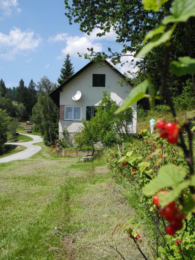 Urlaub Am Bauernhof Grabenhofer Villa Sankt Jakob im Walde Exterior photo